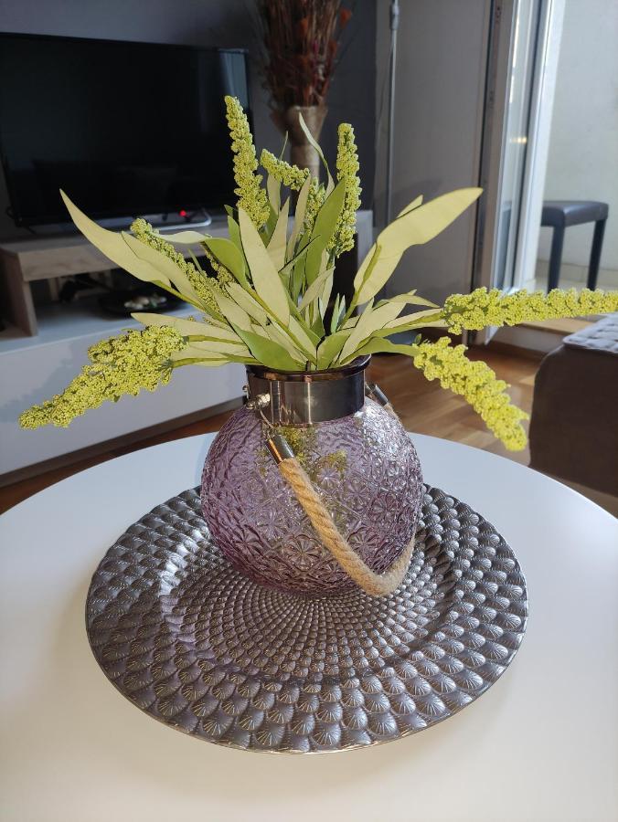 נובי סאד Nota Home מראה חיצוני תמונה